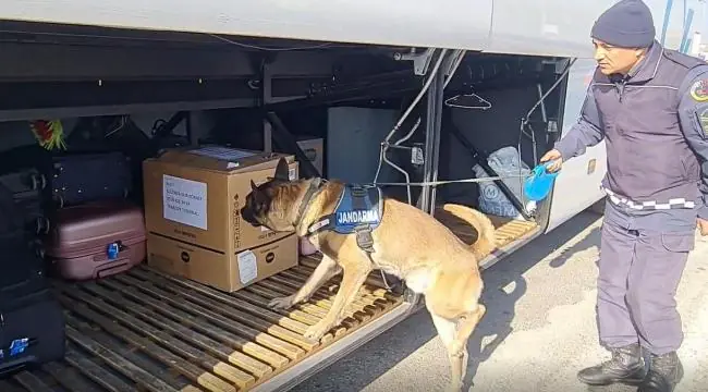 Huzur ve güvenlik için 24 saat görevdeler - Kırıkkale Haber, Son Dakika Kırıkkale Haberleri Huzur ve güvenlik için 24 saat görevdeler - Kırıkkale Haber, Son Dakika Kırıkkale Haberleri