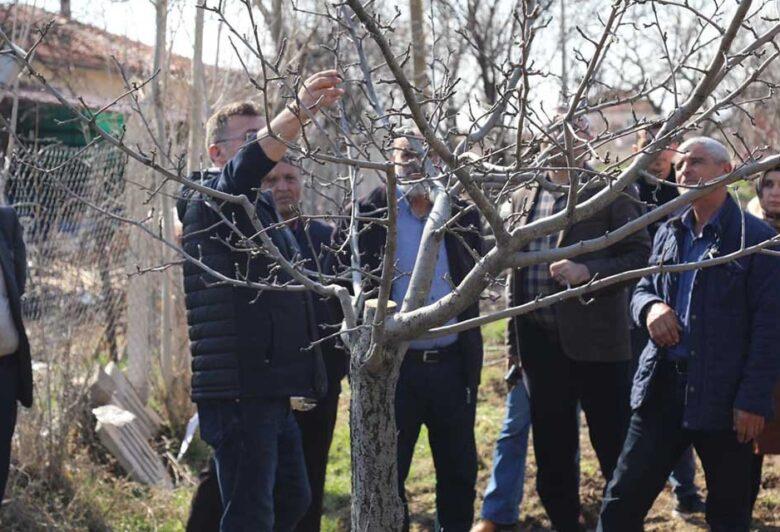 kirikkale’de-ciftcilere-budama-egitimi-verildi