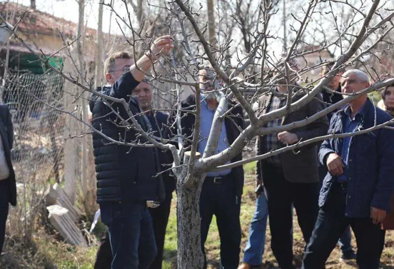 kirikkale’de-ciftcilere-budama-egitimi-verildi