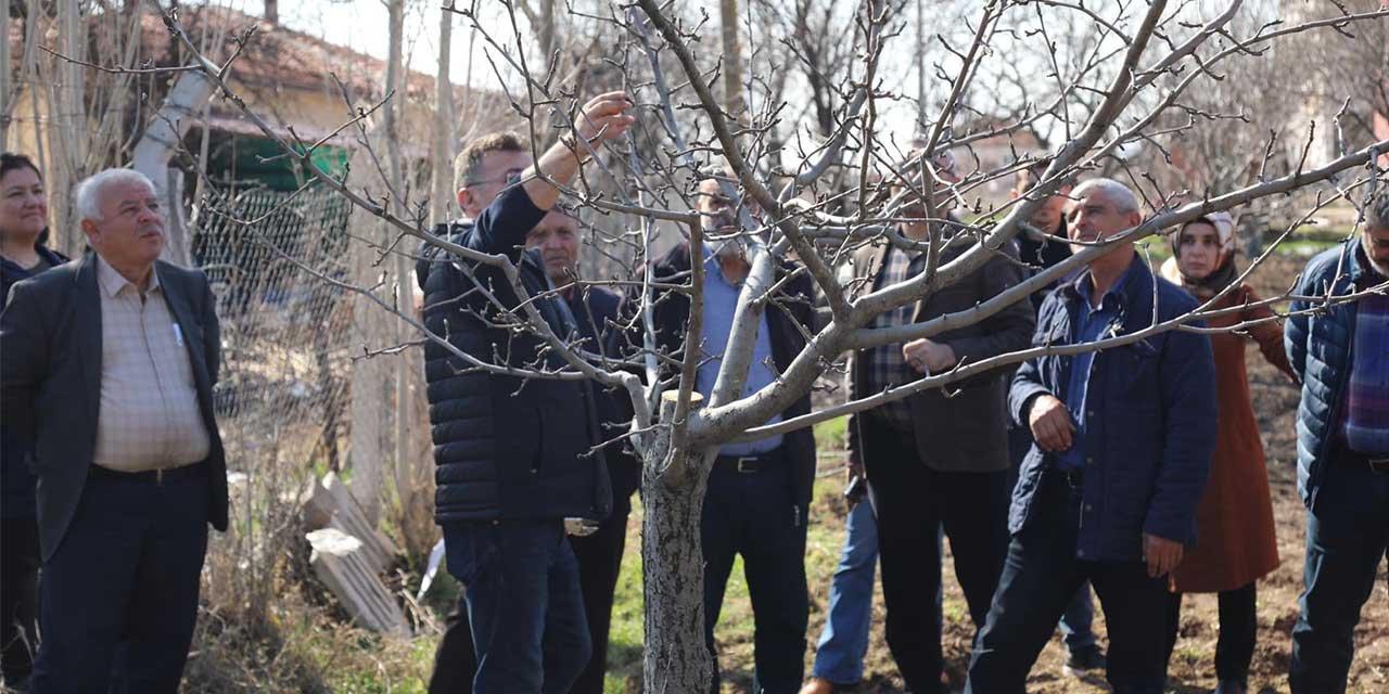 kirikkale’de-ciftcilere-budama-egitimi-verildi