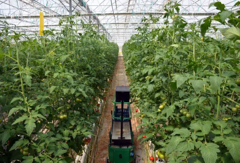 Kırıkkale Haber, Son Dakika Kırıkkale Haberleri Kırıkkale Haber, Son Dakika Kırıkkale Haberleri