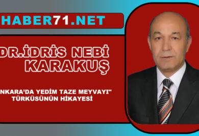 Dr. İdris Karakuş yazdı ”Ankarada Yedim Taze Meyvayi” hikayesi - Kırıkkale Haber, Son Dakika Kırıkkale Haberleri