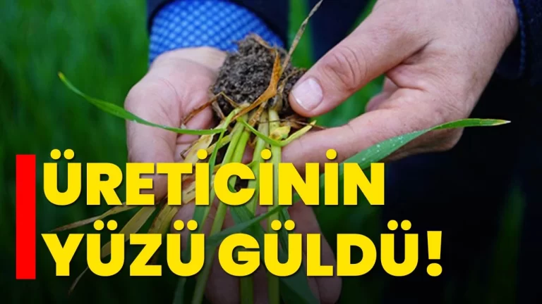 Mart ayı yağışları üreticinin yüzünü güldürdü - Kırıkkale Haber, Son Dakika Kırıkkale Haberleri