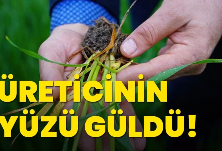 Mart ayı yağışları üreticinin yüzünü güldürdü - Kırıkkale Haber, Son Dakika Kırıkkale Haberleri