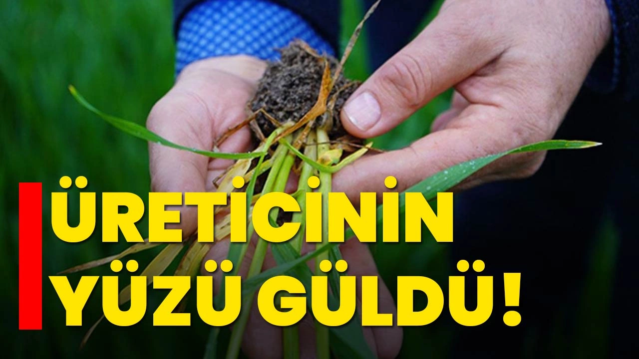 Mart ayı yağışları üreticinin yüzünü güldürdü - Kırıkkale Haber, Son Dakika Kırıkkale Haberleri