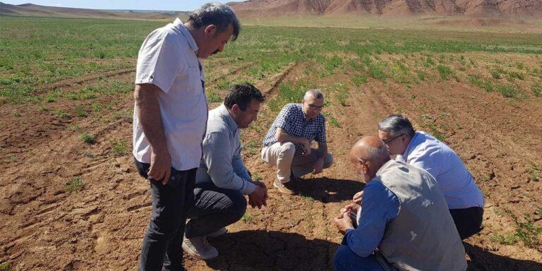 Kırıkkale’nin köylerinde meralar ıslah ediliyor - Kırıkkale Haber, Son Dakika Kırıkkale Haberleri