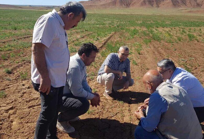 Kırıkkale’nin köylerinde meralar ıslah ediliyor - Kırıkkale Haber, Son Dakika Kırıkkale Haberleri