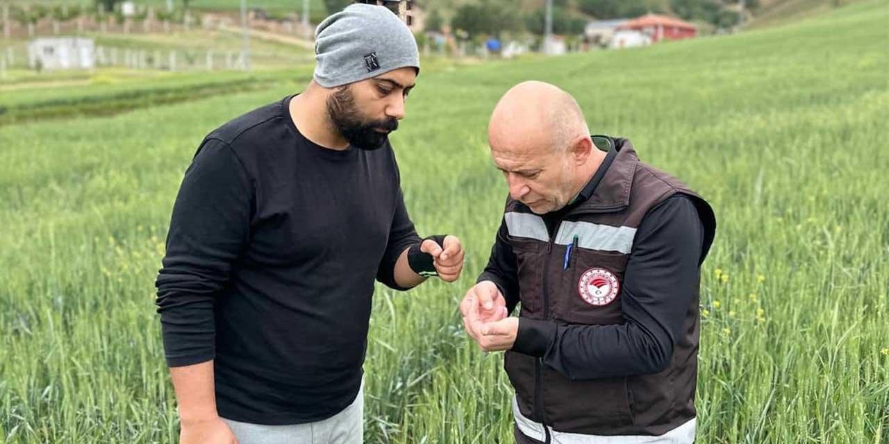 Kırıkkale Haber, Son Dakika Kırıkkale Haberleri