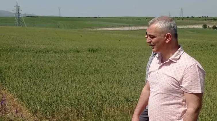 Kırıkkale’de yerli tohum ile kalite ve verim artıyor - Kırıkkale Haber, Son Dakika Kırıkkale Haberleri