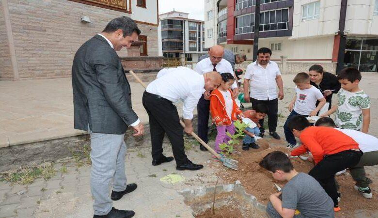Başkan Önal, Cami Etrafına Fidan Dikti - Kırıkkale Haber, Son Dakika Kırıkkale Haberleri