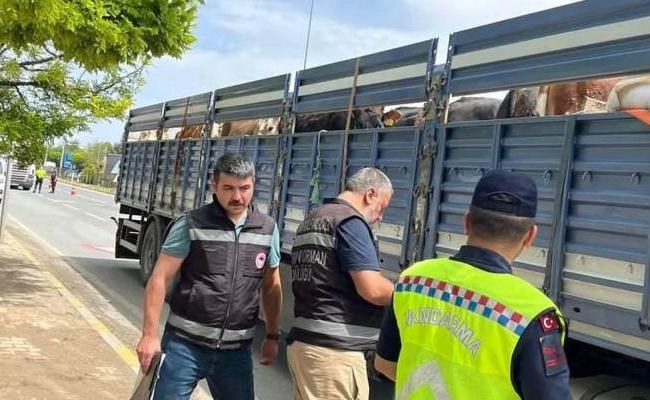 Kurbanlık Taşıyan Araçlara Denetim Yapıldı - Kırıkkale Haber, Son Dakika Kırıkkale Haberleri