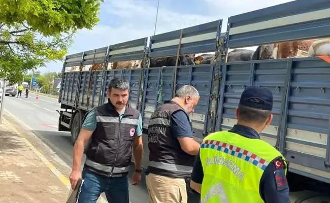 Kurbanlık Taşıyan Araçlara Denetim Yapıldı - Kırıkkale Haber, Son Dakika Kırıkkale Haberleri
