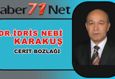 İdris Kararkuş Yazdı ''CERİT BOZLAĞI'' - Kırıkkale Haber, Son Dakika Kırıkkale Haberleri