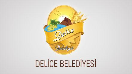 Su Kuyusu Gerilimine Delice Belediyesi'nden Açıklama - Kırıkkale Haber, Son Dakika Kırıkkale Haberleri