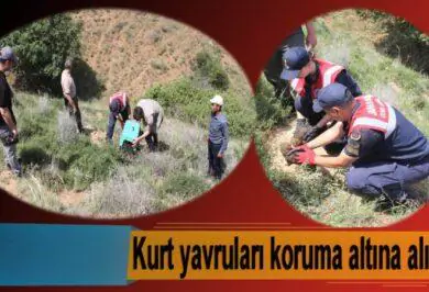 Kırıkkale Haber, Son Dakika Kırıkkale Haberleri