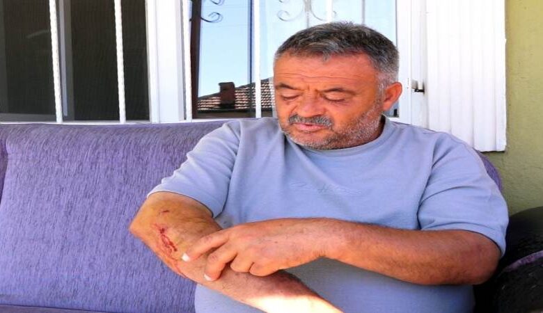 Karşıyaka Mahallesinde Başıboş Köpek Dehşeti - Kırıkkale Haber, Son Dakika Kırıkkale Haberleri