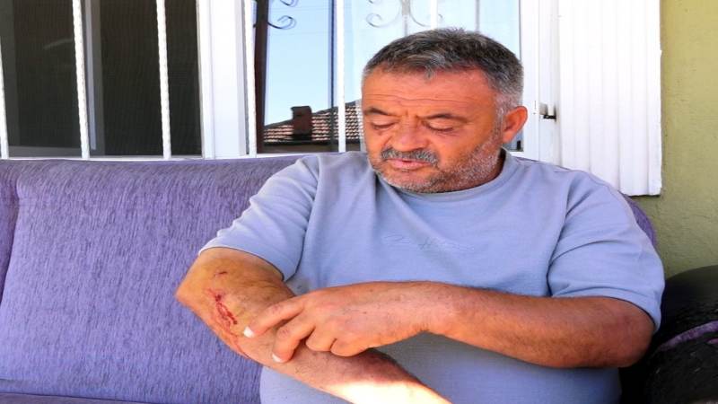 Karşıyaka Mahallesinde Başıboş Köpek Dehşeti - Kırıkkale Haber, Son Dakika Kırıkkale Haberleri