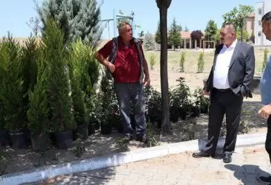 Balışeyh, yeşil alanlarla güzelleşiyor - Kırıkkale Haber, Son Dakika Kırıkkale Haberleri Balışeyh, yeşil alanlarla güzelleşiyor - Kırıkkale Haber, Son Dakika Kırıkkale Haberleri