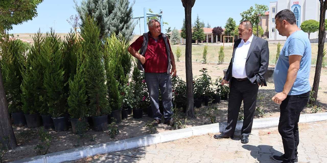 Balışeyh, yeşil alanlarla güzelleşiyor - Kırıkkale Haber, Son Dakika Kırıkkale Haberleri