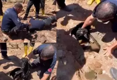Kanalizasyon Borusundan Keçi Çıktı - Kırıkkale Haber, Son Dakika Kırıkkale Haberleri