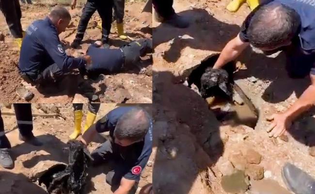 Kanalizasyon Borusundan Keçi Çıktı - Kırıkkale Haber, Son Dakika Kırıkkale Haberleri