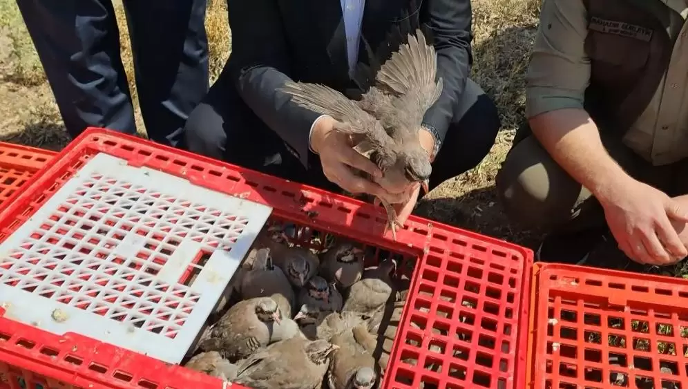 Jandarmadan Kırıkkale’de Kaçak Kazı Operasyonu - Kırıkkale Haber, Son Dakika Kırıkkale Haberleri Jandarmadan Kırıkkale’de Kaçak Kazı Operasyonu - Kırıkkale Haber, Son Dakika Kırıkkale Haberleri