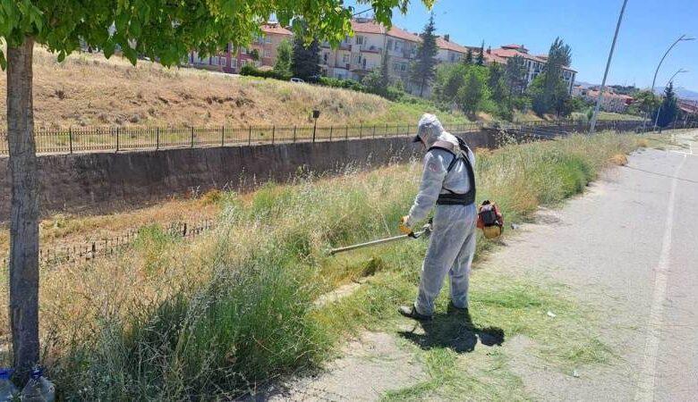 kirikkale’de-yabani-otlarla-mucadele-ediliyor