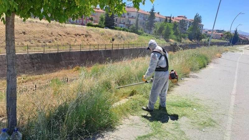 kirikkale’de-yabani-otlarla-mucadele-ediliyor