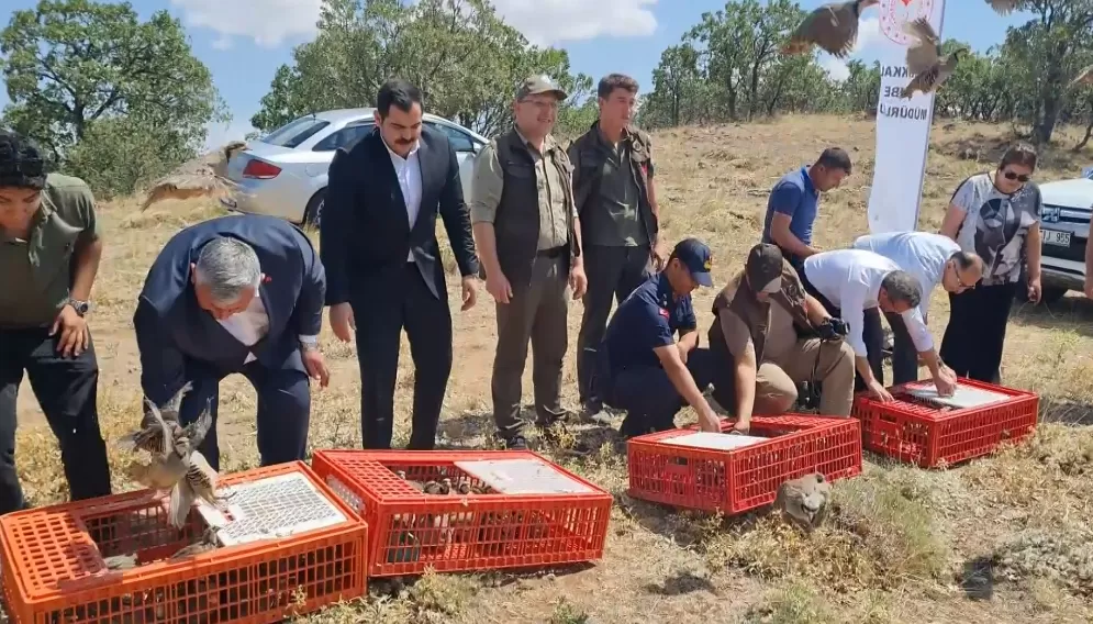 Jandarmadan Kırıkkale’de Kaçak Kazı Operasyonu – Kırıkkale Haber, Son Dakika Kırıkkale Haberleri Jandarmadan Kırıkkale’de Kaçak Kazı Operasyonu - Kırıkkale Haber, Son Dakika Kırıkkale Haberleri