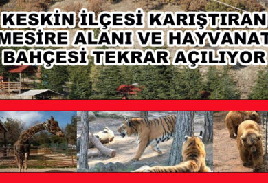 Kırıkkale Haber, Son Dakika Kırıkkale Haberleri