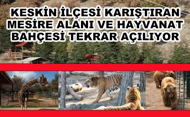 Kırıkkale Haber, Son Dakika Kırıkkale Haberleri Kırıkkale Haber, Son Dakika Kırıkkale Haberleri