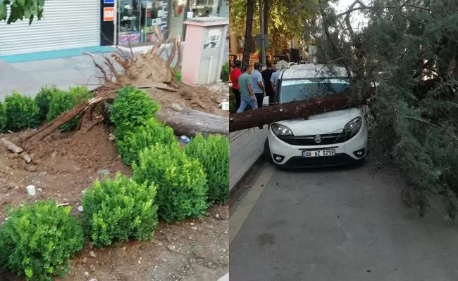 Kırıkkale Haber, Son Dakika Kırıkkale Haberleri Kırıkkale Haber, Son Dakika Kırıkkale Haberleri