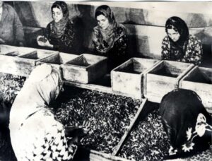 Kırıkkale Haber, Son Dakika Kırıkkale Haberleri Kırıkkale Haber, Son Dakika Kırıkkale Haberleri