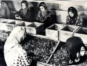 Kırıkkale Haber, Son Dakika Kırıkkale Haberleri Kırıkkale Haber, Son Dakika Kırıkkale Haberleri