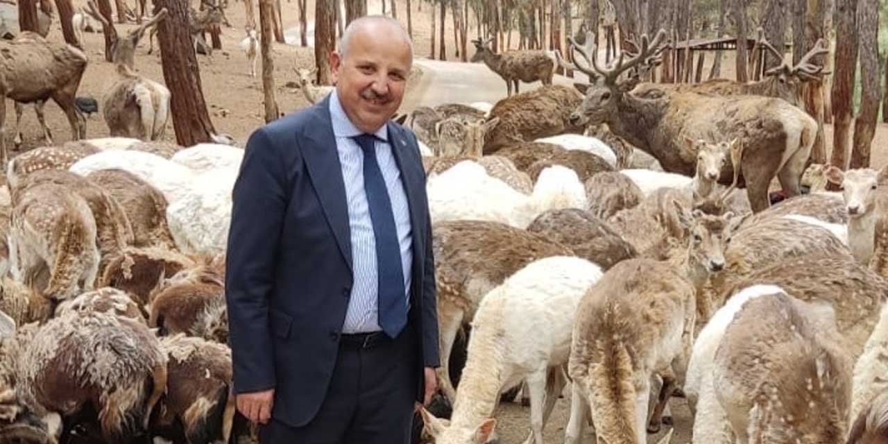 Kırıkkale Haber, Son Dakika Kırıkkale Haberleri