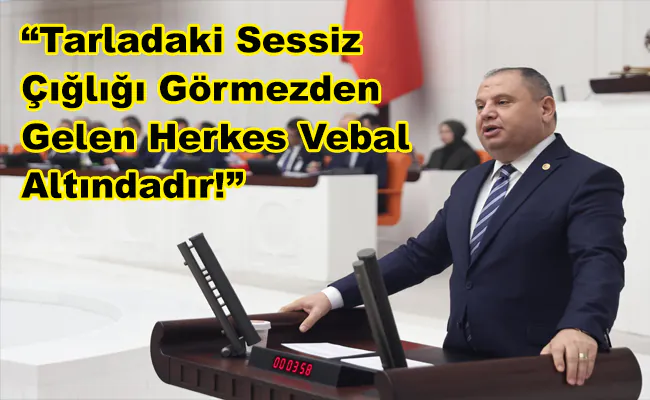 Öztürk Zirai Don Felaketi Kırıkkale’de Ekinleri Vurdu! - Kırıkkale Haber, Son Dakika Kırıkkale Haberleri