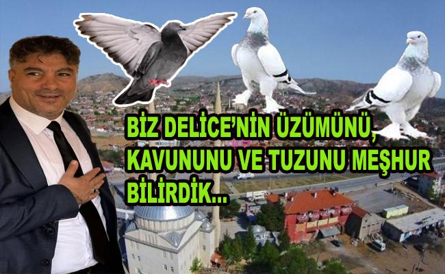 Sayın Delice Ak Parti İlçe Başkanı Ercan Han, - Kırıkkale Haber, Son Dakika Kırıkkale Haberleri