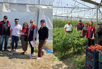 Tarım alanlarında denetimler yapılıyor - Kırıkkale Haber, Son Dakika Kırıkkale Haberleri