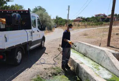 Kırıkkale’nin her yeri böceklere karşı ilaçlanıyor - Kırıkkale Haber, Son Dakika Kırıkkale Haberleri