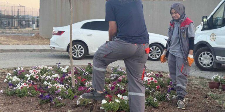 Millet Bahçesi’nde bakım çalışması yapılıyor - Kırıkkale Haber, Son Dakika Kırıkkale Haberleri
