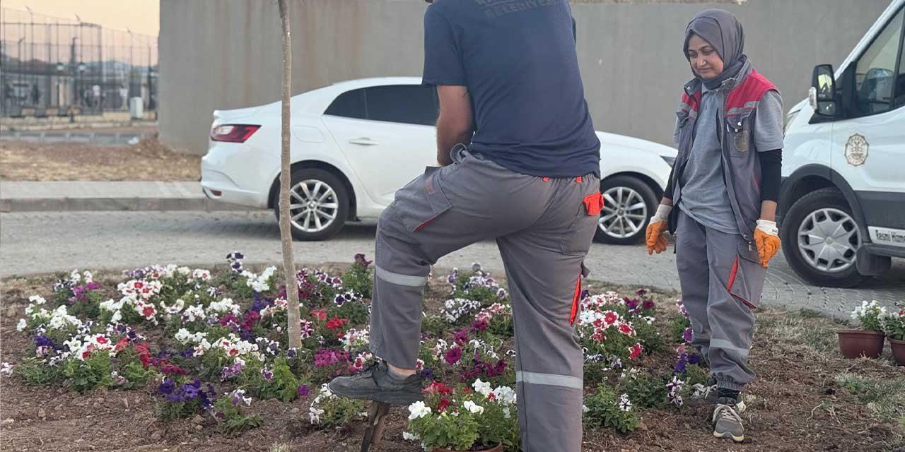Millet Bahçesi’nde bakım çalışması yapılıyor - Kırıkkale Haber, Son Dakika Kırıkkale Haberleri Millet Bahçesi’nde bakım çalışması yapılıyor - Kırıkkale Haber, Son Dakika Kırıkkale Haberleri