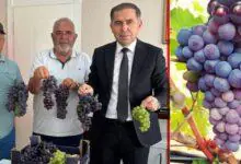 Delice’de üzüm üreticilerinden Başkan Uyan’a ziyaret - Kırıkkale Haber, Son Dakika Kırıkkale Haberleri Delice’de üzüm üreticilerinden Başkan Uyan’a ziyaret - Kırıkkale Haber, Son Dakika Kırıkkale Haberleri