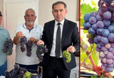 Delice’de üzüm üreticilerinden Başkan Uyan’a ziyaret - Kırıkkale Haber, Son Dakika Kırıkkale Haberleri