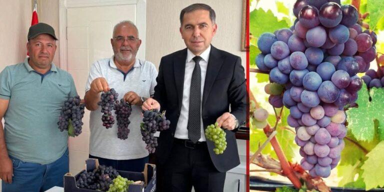 Delice’de üzüm üreticilerinden Başkan Uyan’a ziyaret - Kırıkkale Haber, Son Dakika Kırıkkale Haberleri