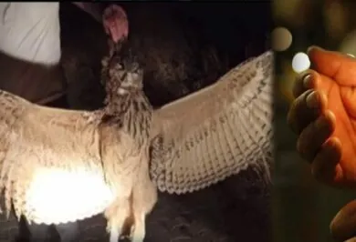 Kırıkkale Haber, Son Dakika Kırıkkale Haberleri