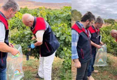 Hasat öncesi pestisit denetimi - Kırıkkale Haber, Son Dakika Kırıkkale Haberleri