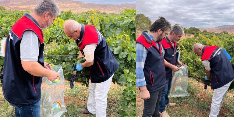 Hasat öncesi pestisit denetimi - Kırıkkale Haber, Son Dakika Kırıkkale Haberleri