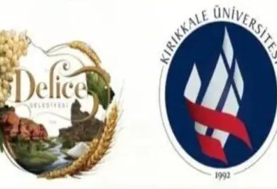 Delice’de “Bağcılık ve Sulama Sempozyumu” Düzenleniyor - Kırıkkale Haber, Son Dakika Kırıkkale Haberleri