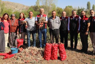 Kılıçlar Soğanında Rekolte umut verdi, hasat başladı - Kırıkkale Haber, Son Dakika Kırıkkale Haberleri
