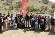 Kırıkkale Haber, Son Dakika Kırıkkale Haberleri
